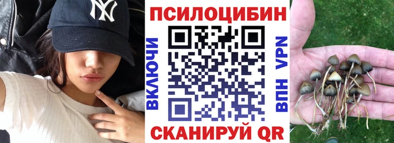 Купить где Новая Ляля Псилоцибиновые грибы MAGIC MUSHROOMS